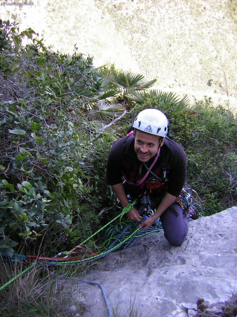 Reunión de emergencia en medio de la selva
Foto: frankie