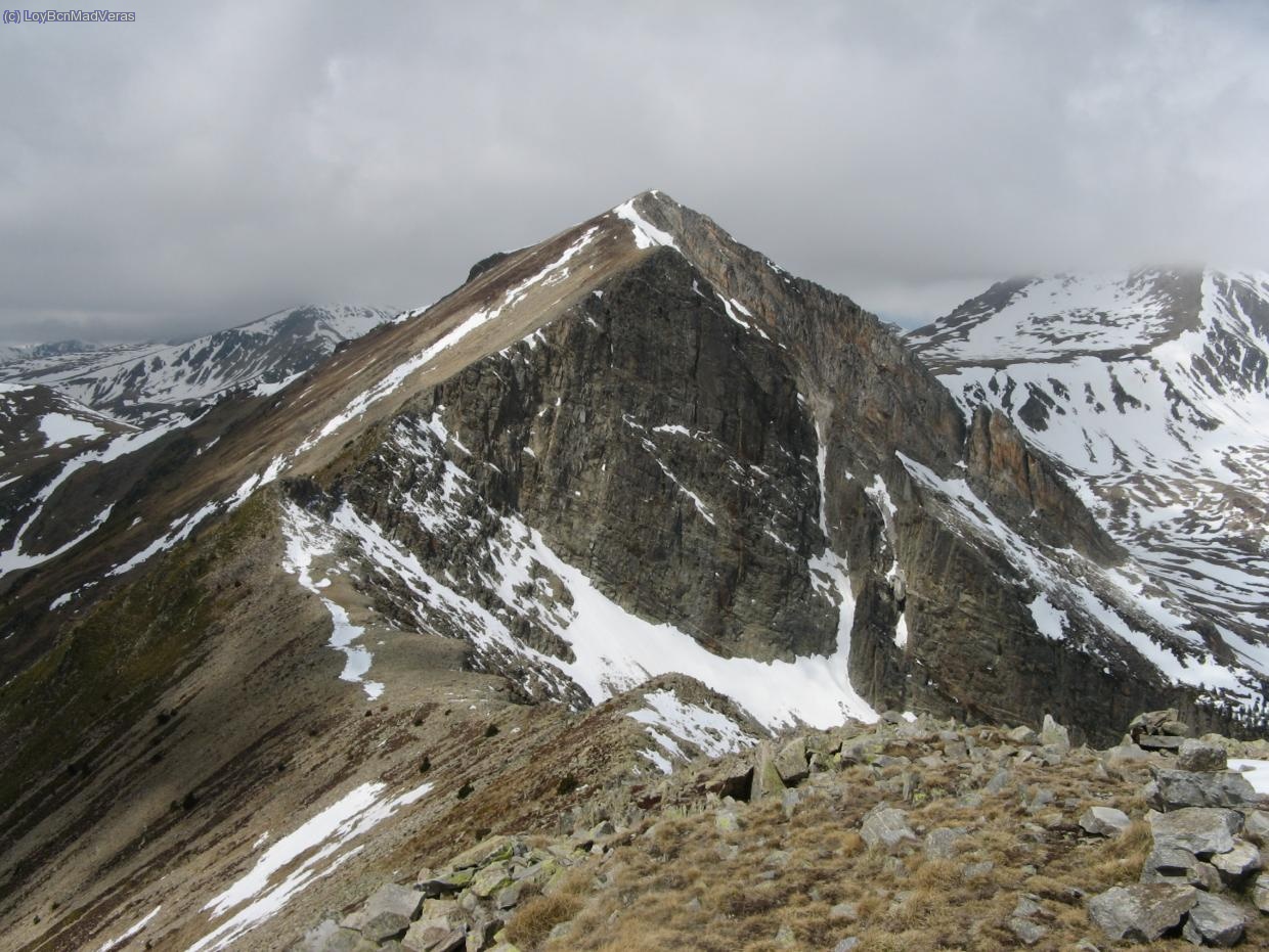 Gra de fajol Gran, se puede ver la Canal Central un poco justa, se veian dos resaltes de roca importantes.