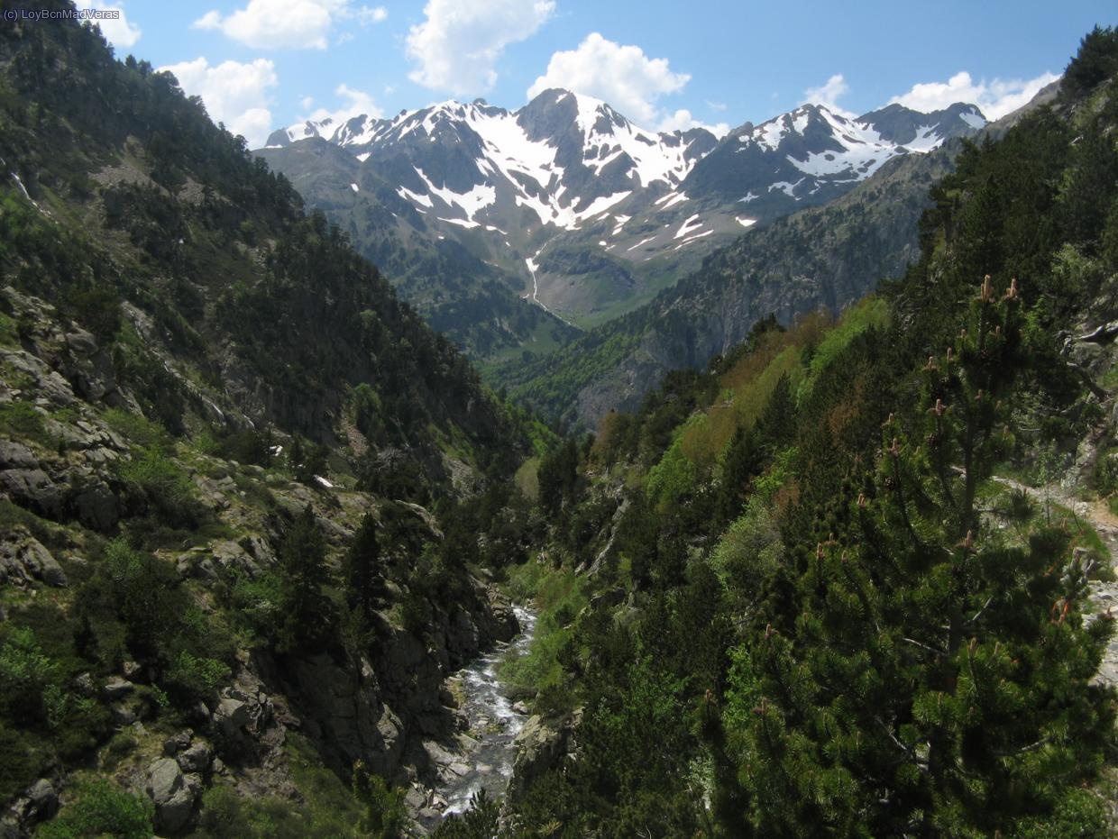 El valle est&aacute; precioso