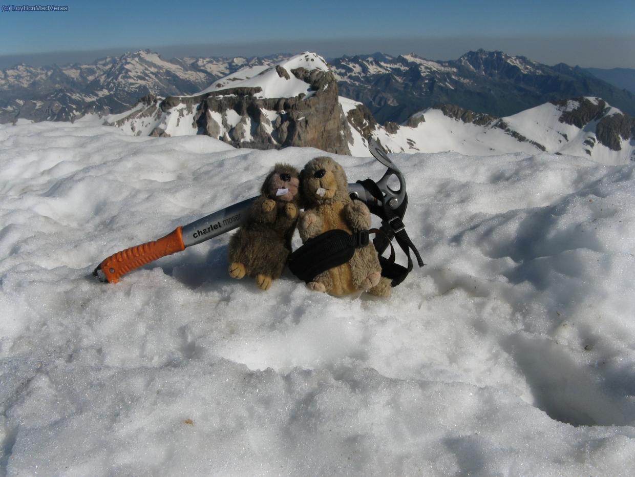 jejeje.. no podían faltar... :)