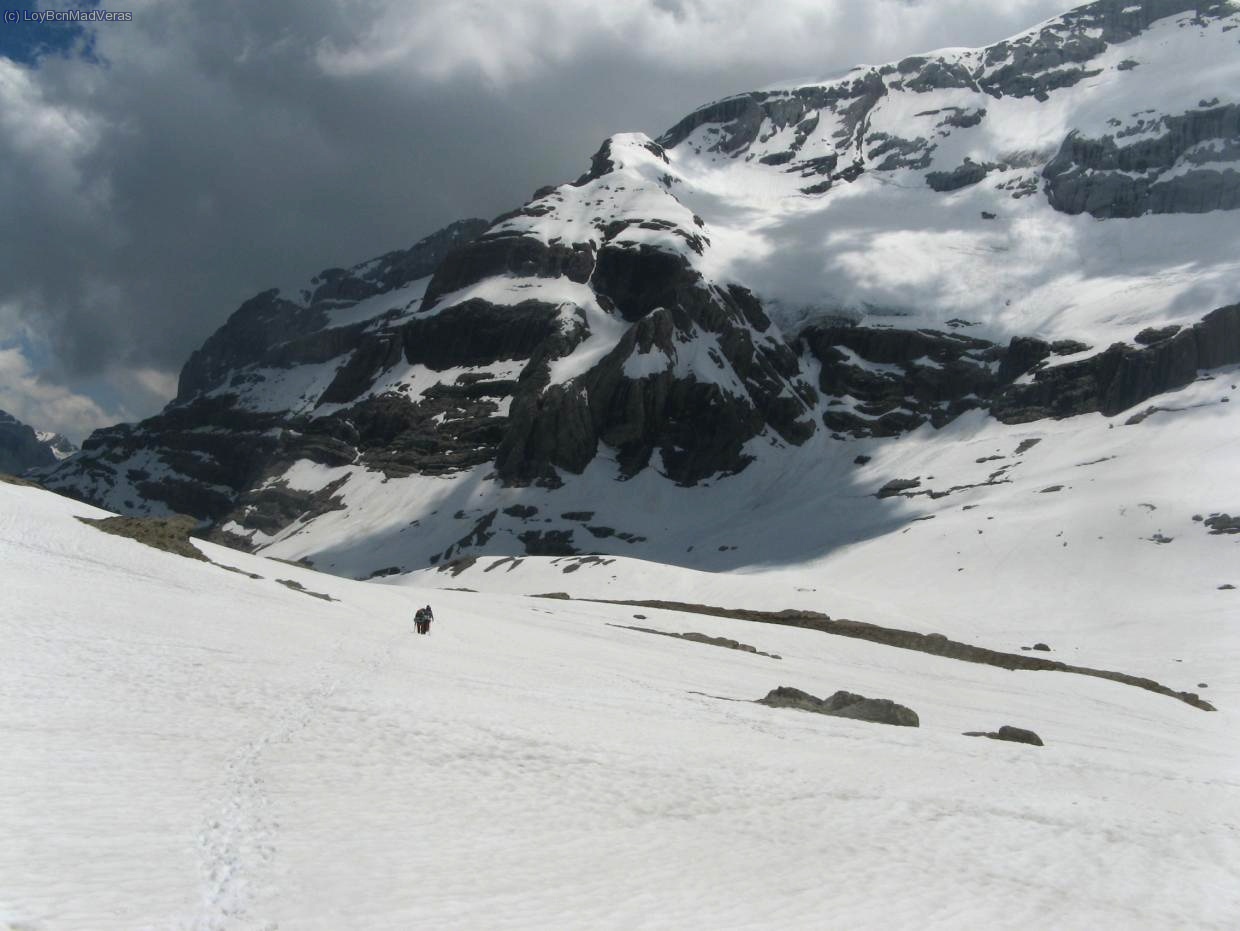 Vamos que nos vamos...