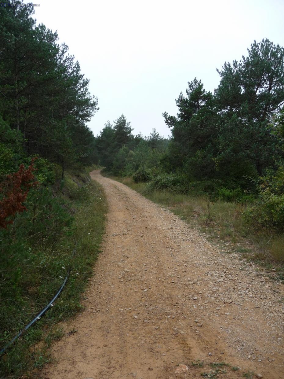 La ruta empieza con unas rampas muy duras.