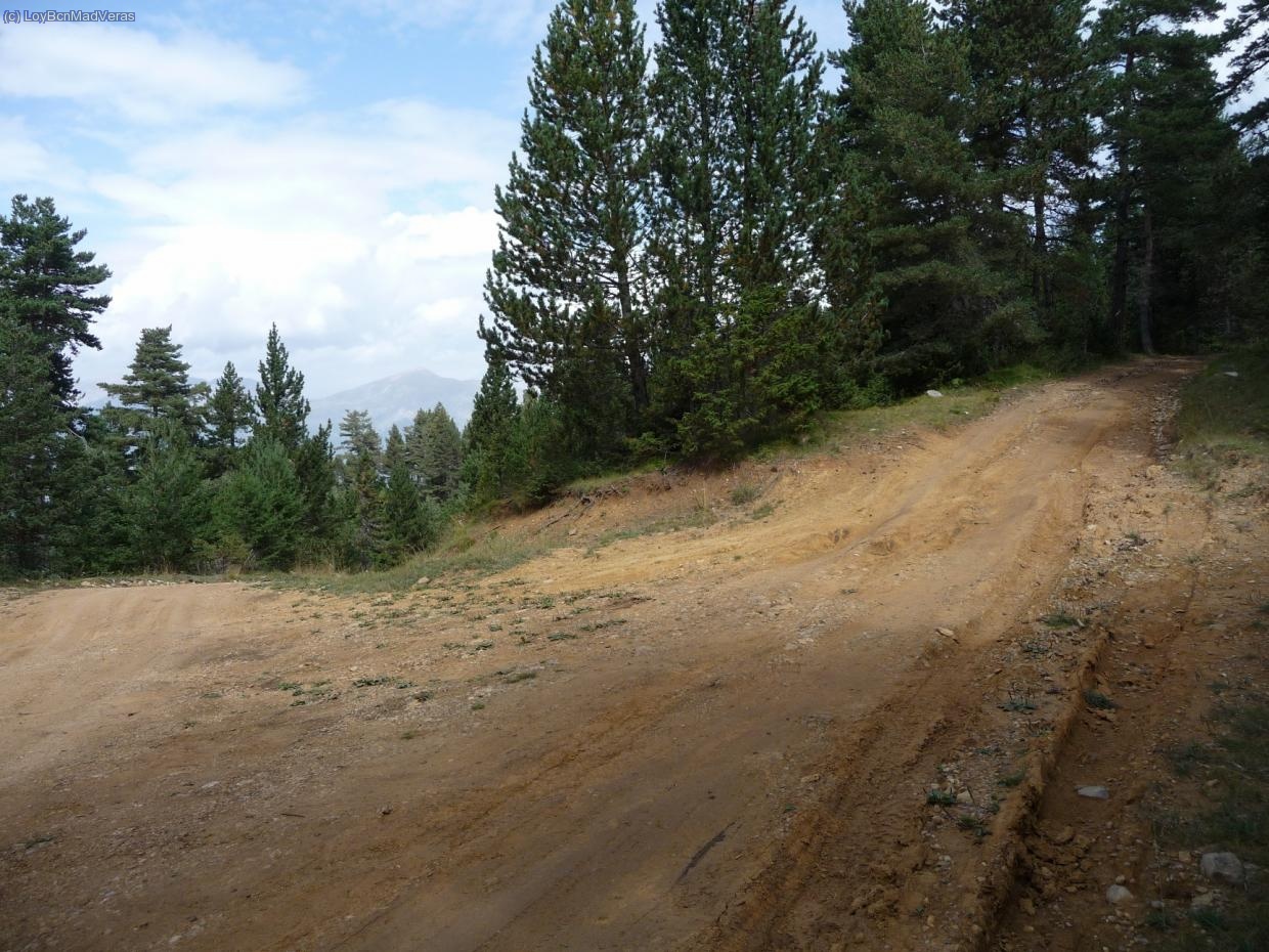 Pista que sube al coll de Catllaras