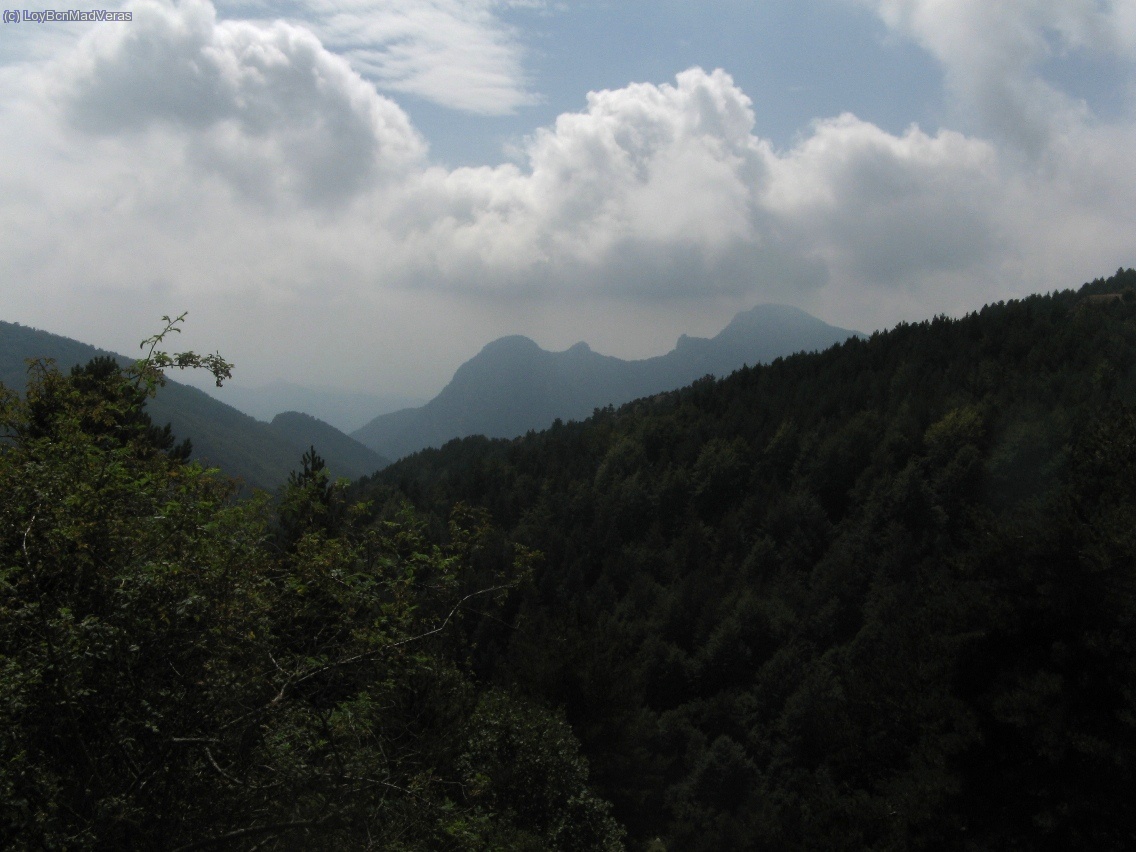 Los bosques estan espectaculares