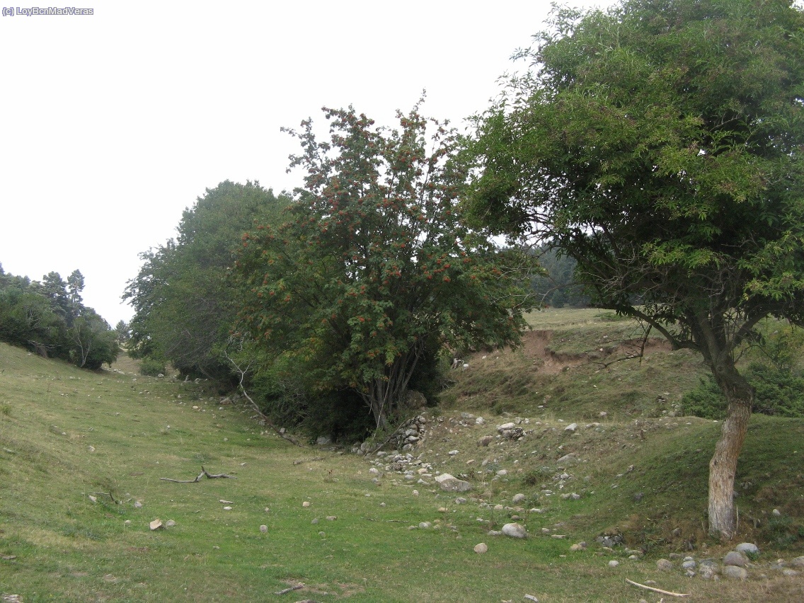 hay algunos rincones preciosos