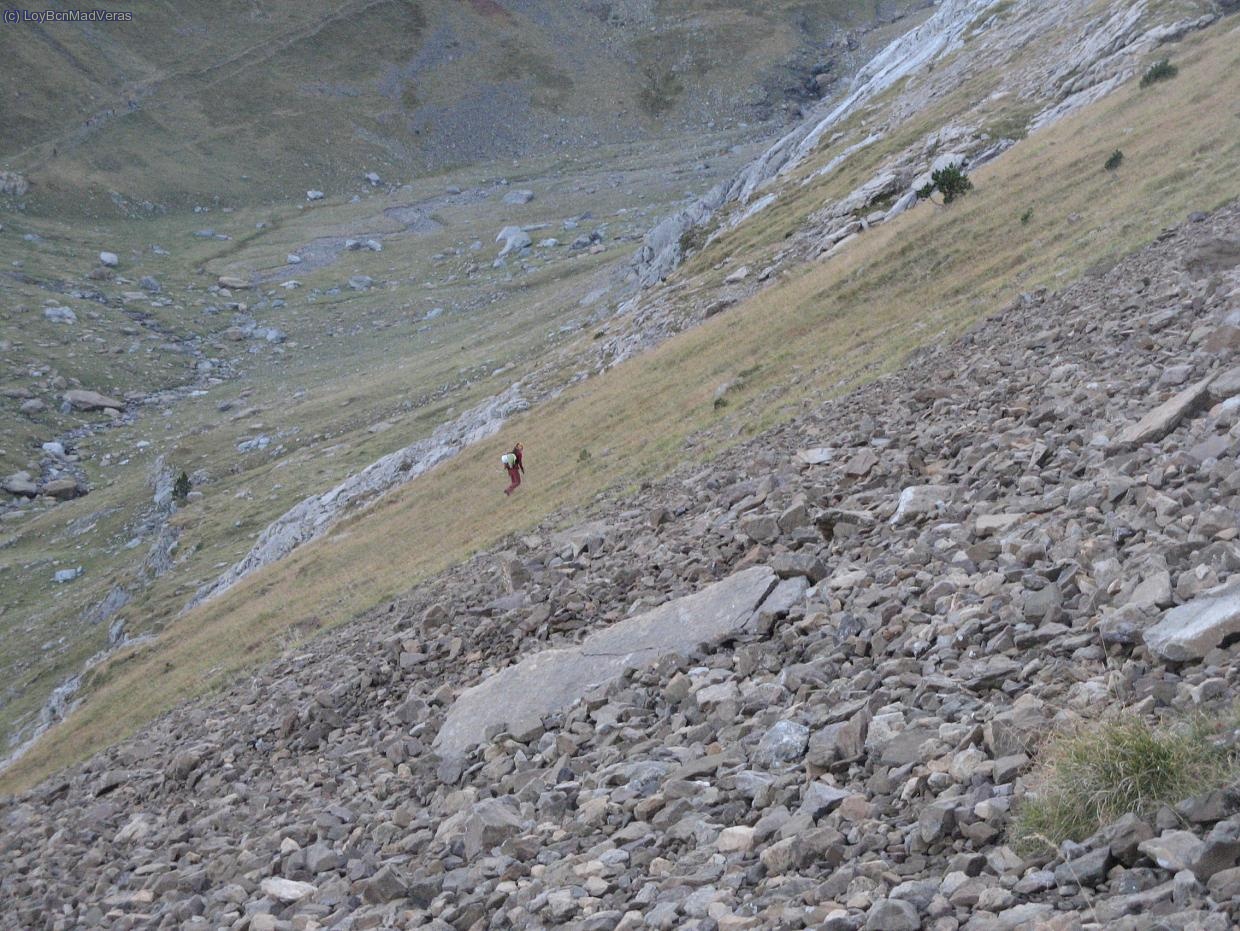 Sin bastones se hacen duras