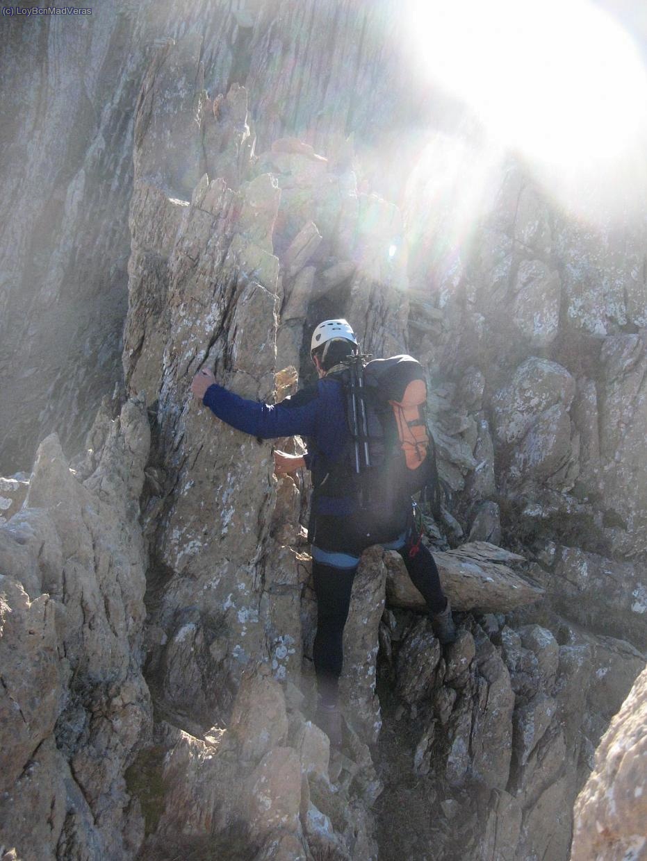 Fern en mitad de un paso