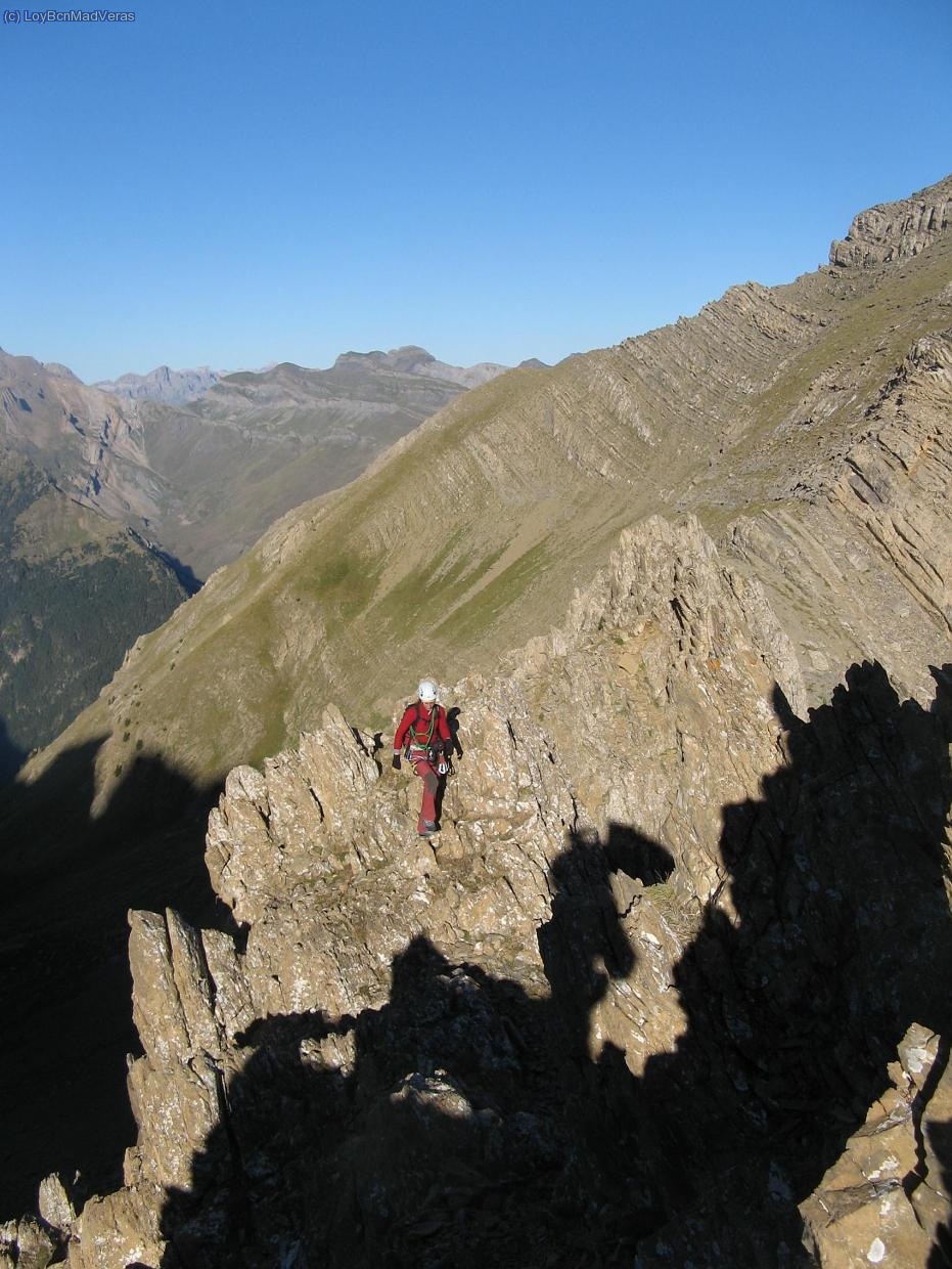 Loybcn practicamente andando