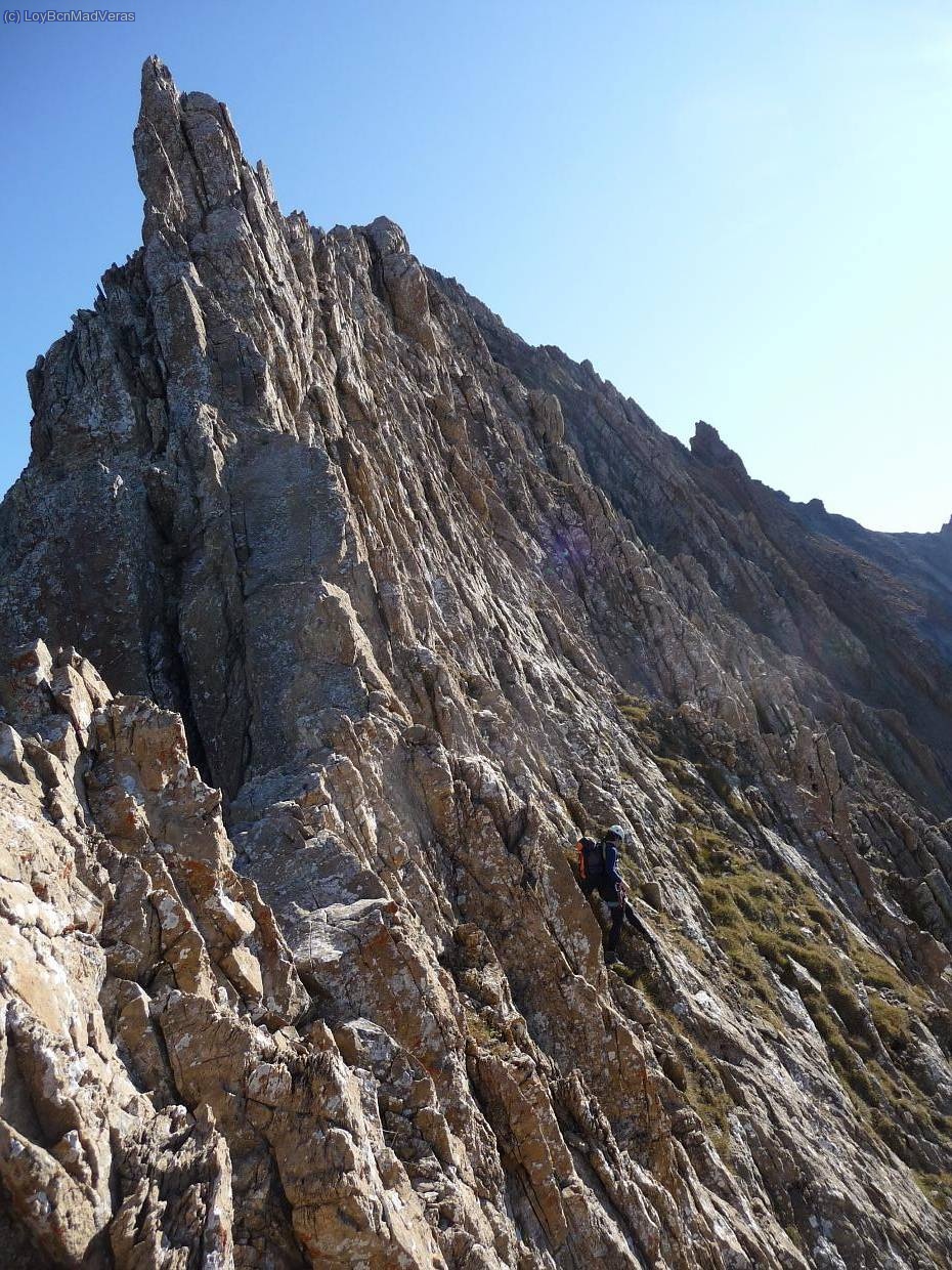 Fern ya ha pasado al otro lado y empieza los flanqueos