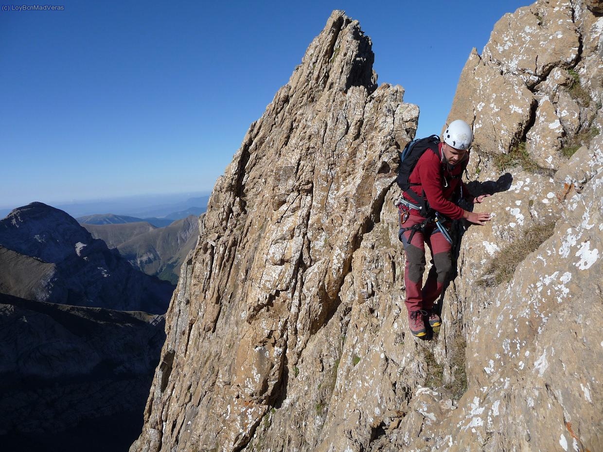 Madveras en el flanqueo