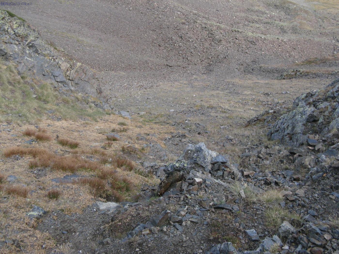 Bajada por aqui a lo jabal&iacute;, para acortar