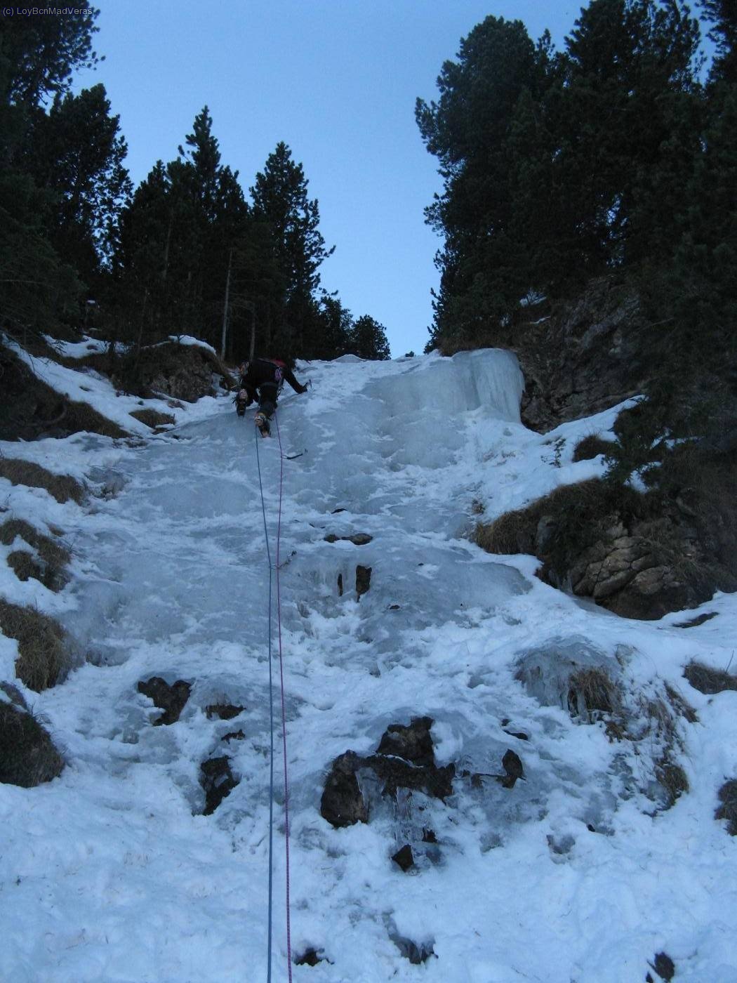 Madveras en la cascada de la Rampa