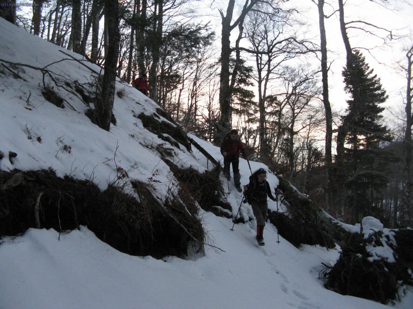Nos acabamos perdiendo por el bosque
