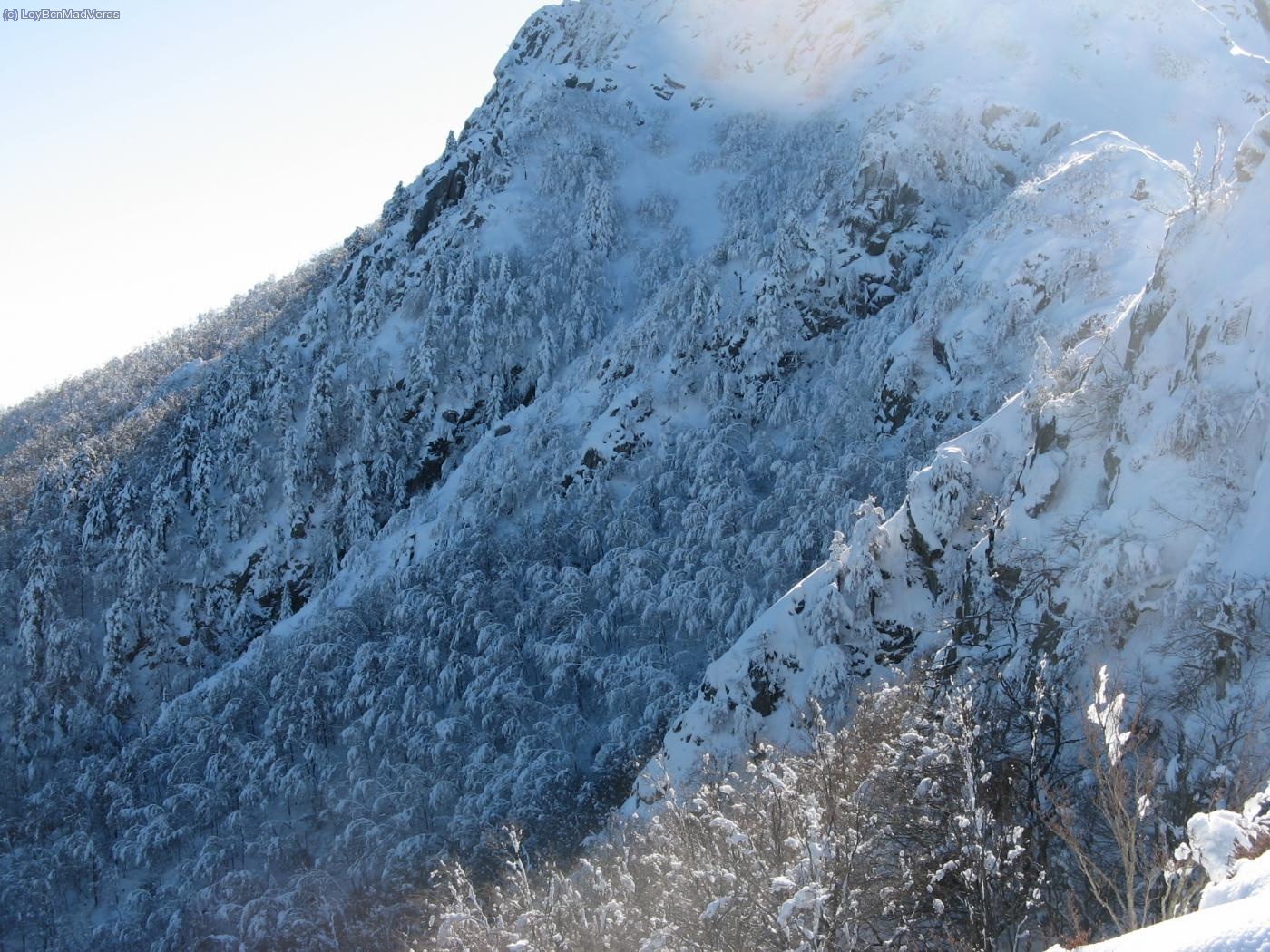 Increible la de nieve que tiene el bosque...