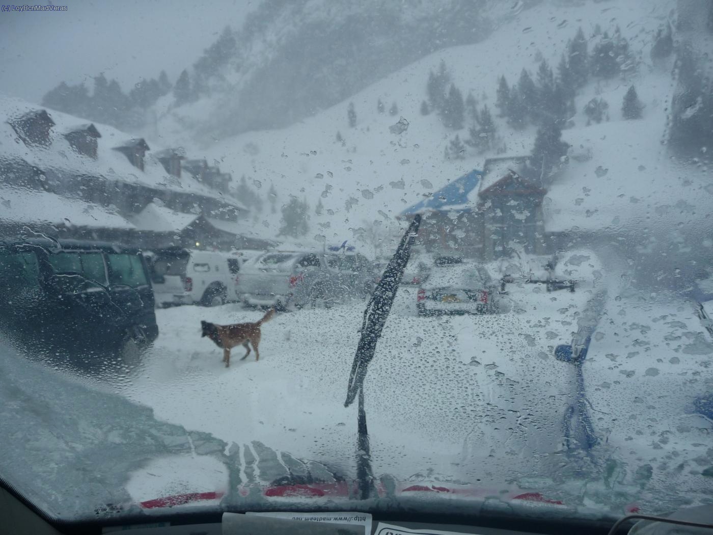 Domingo por la ma&ntilde;ana en llanos. Ha estado nevando toda la noche y esta todo colapsado de nieve