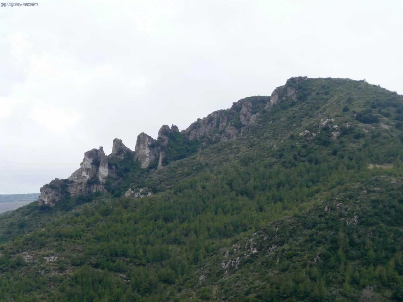 Puig de les Agulles