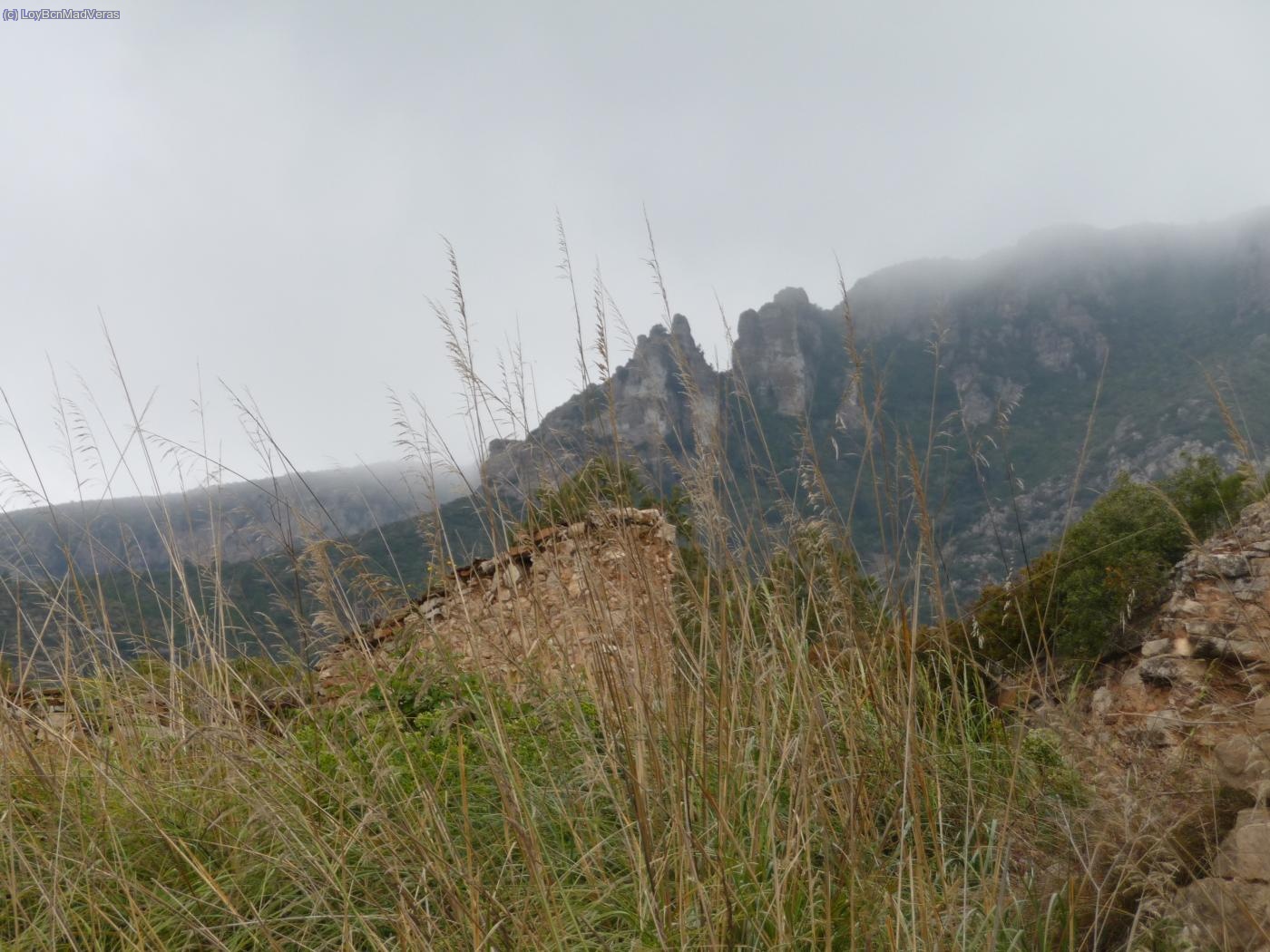 Idem, el puig de les agulles al fondo