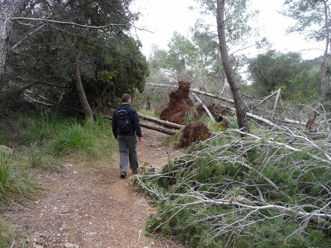 La huella del temporal de viento