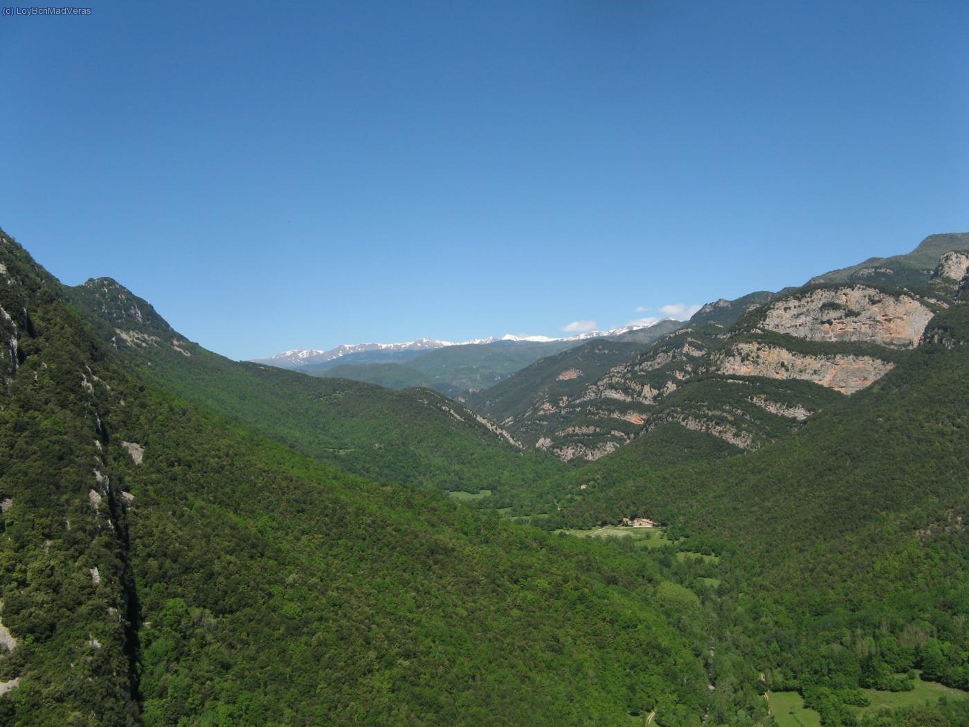 El paisaje está increiblemente frondoso