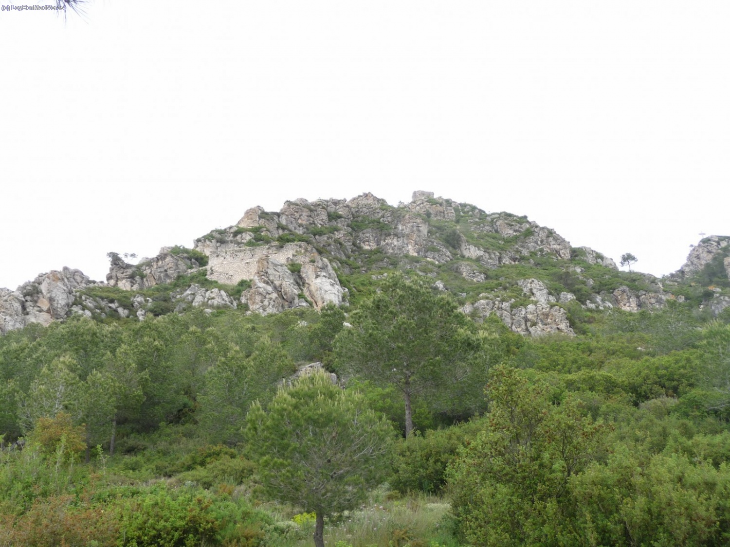 Espol&oacute;n a la vista