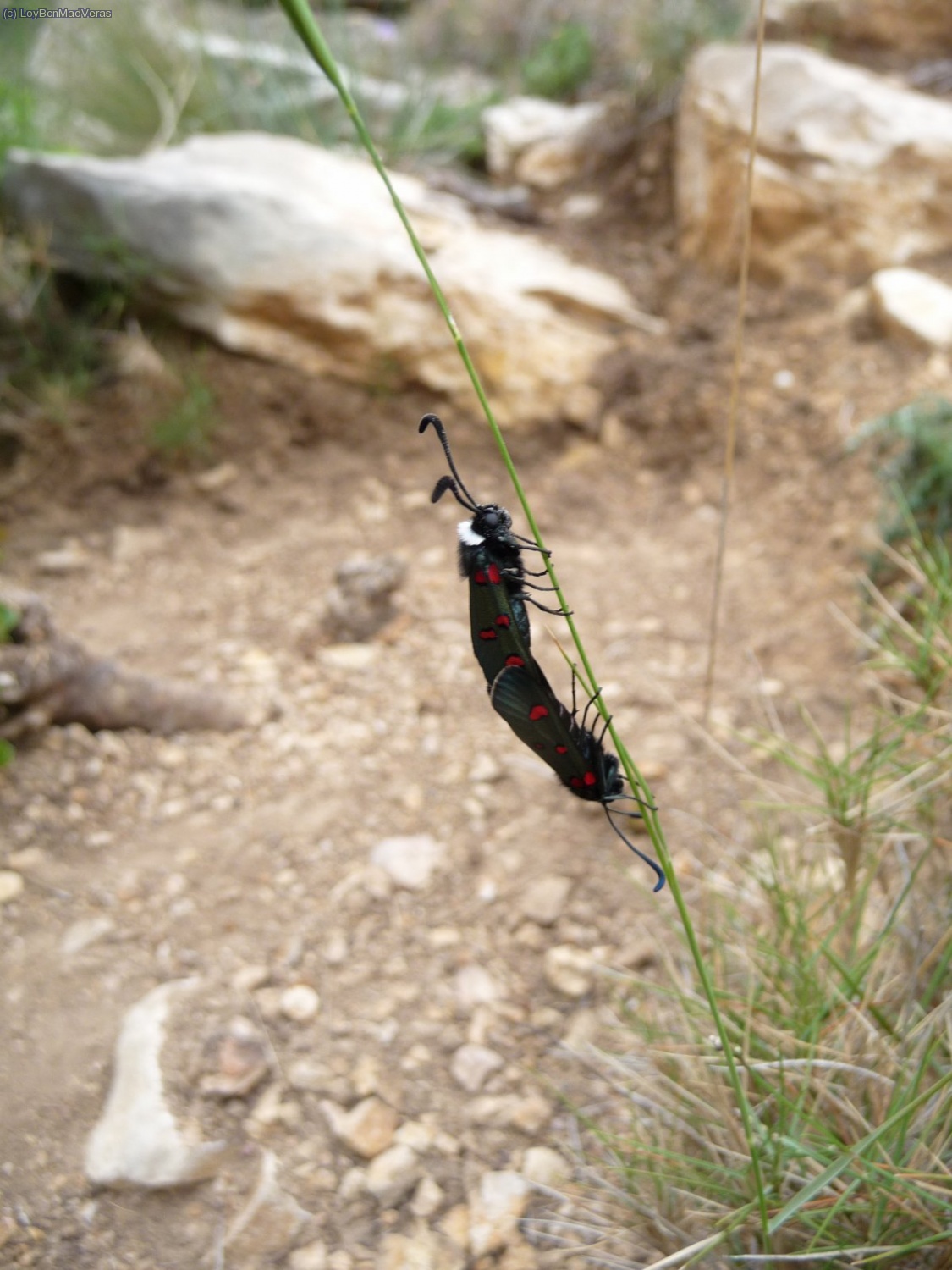 &iquest;&iquest;&iquest;...............???