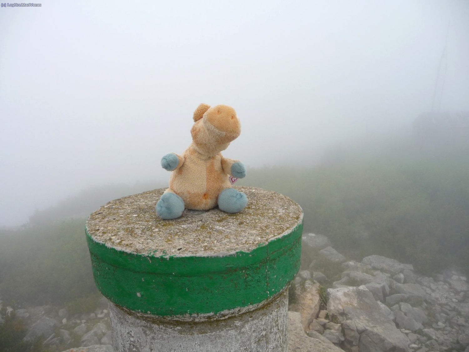 El Cochi en el punto geod&eacute;sico del Cim de la Torreta (765 m)