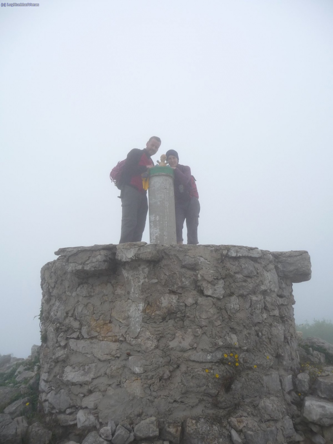 Madveras, Cochi y Loybcn