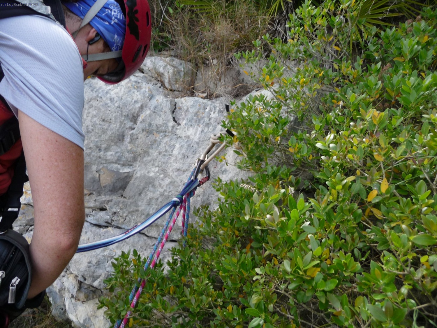 R2, 8m. 2 xapes + anella + pasam&agrave; 
