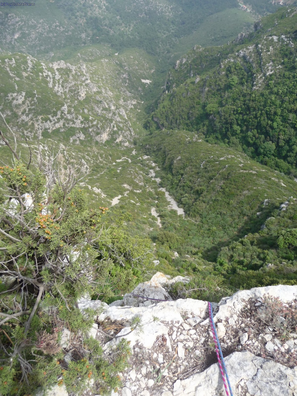 La niebla nos deja ver el patio por unos minutos