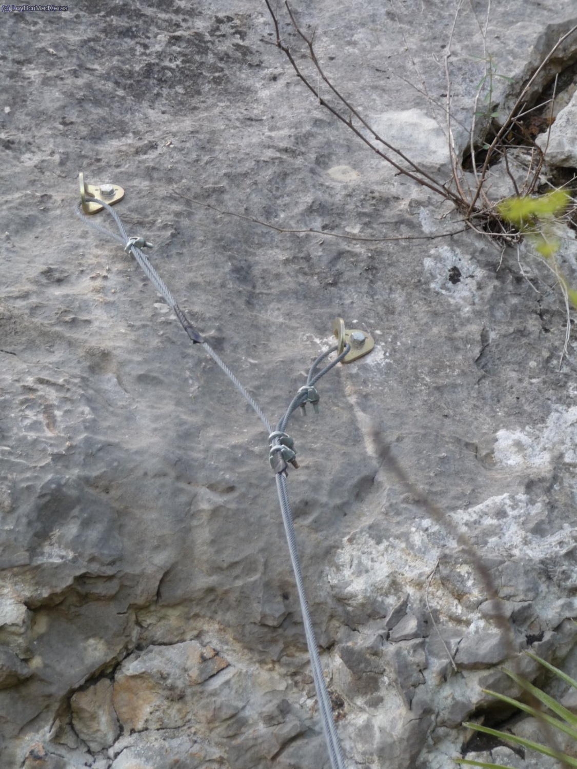 R8, 28m. 2 xapes + anella + cable (des d