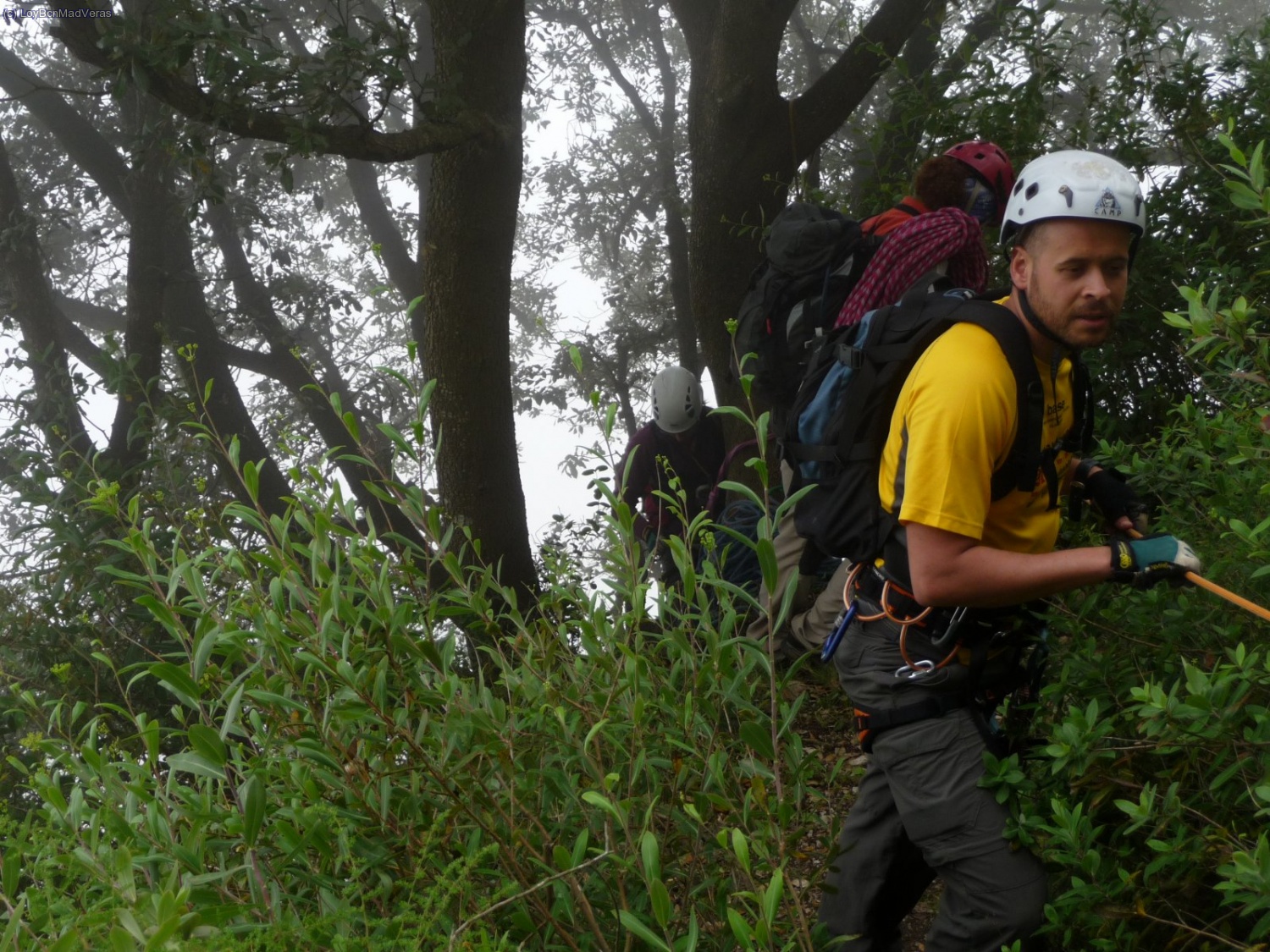 Aproximaci&oacute;n a R6