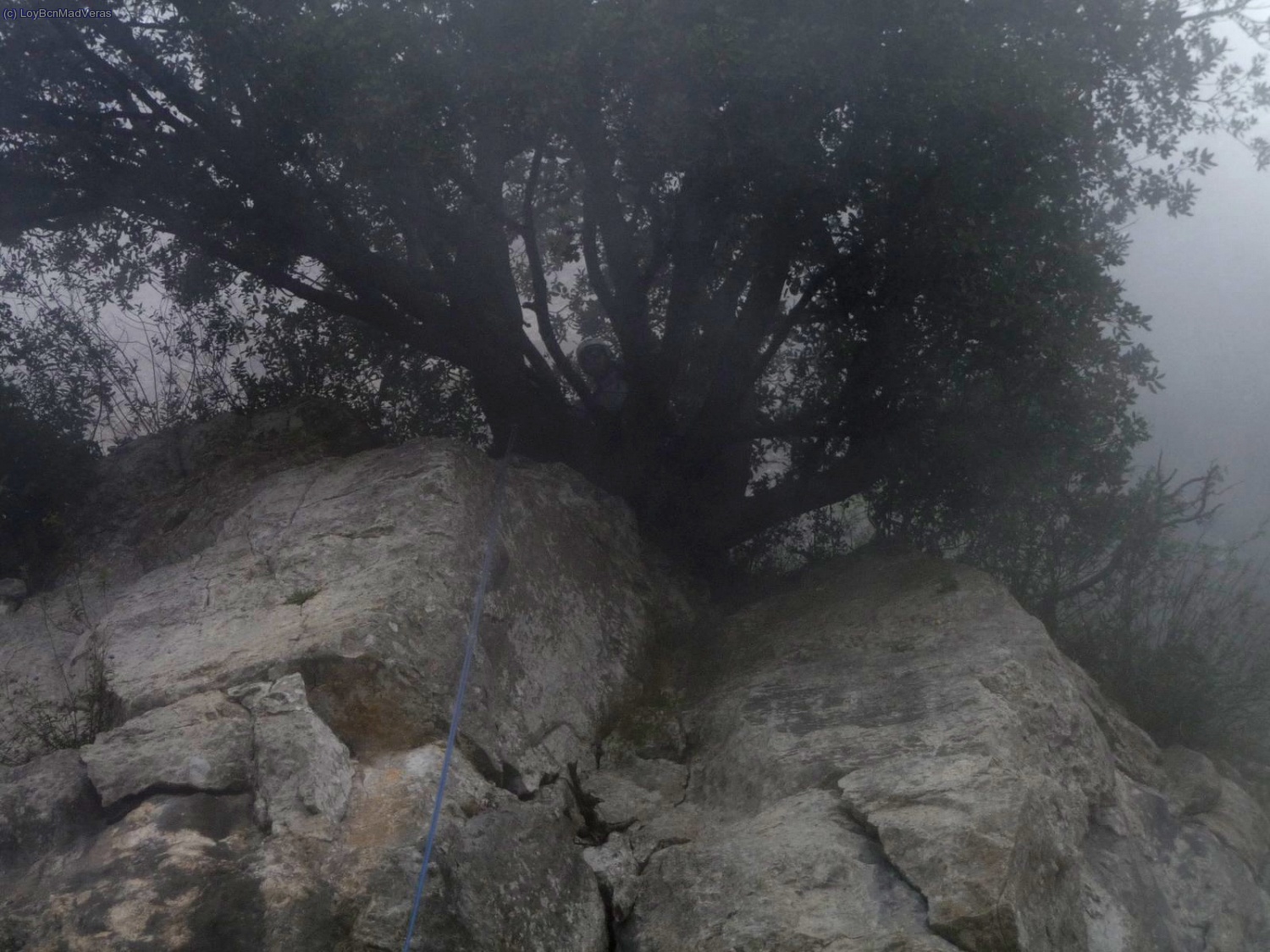 R6, 30m. anella + bagues en una gran carrasca + passam&agrave;. Da un poquillo de rollito la salida
