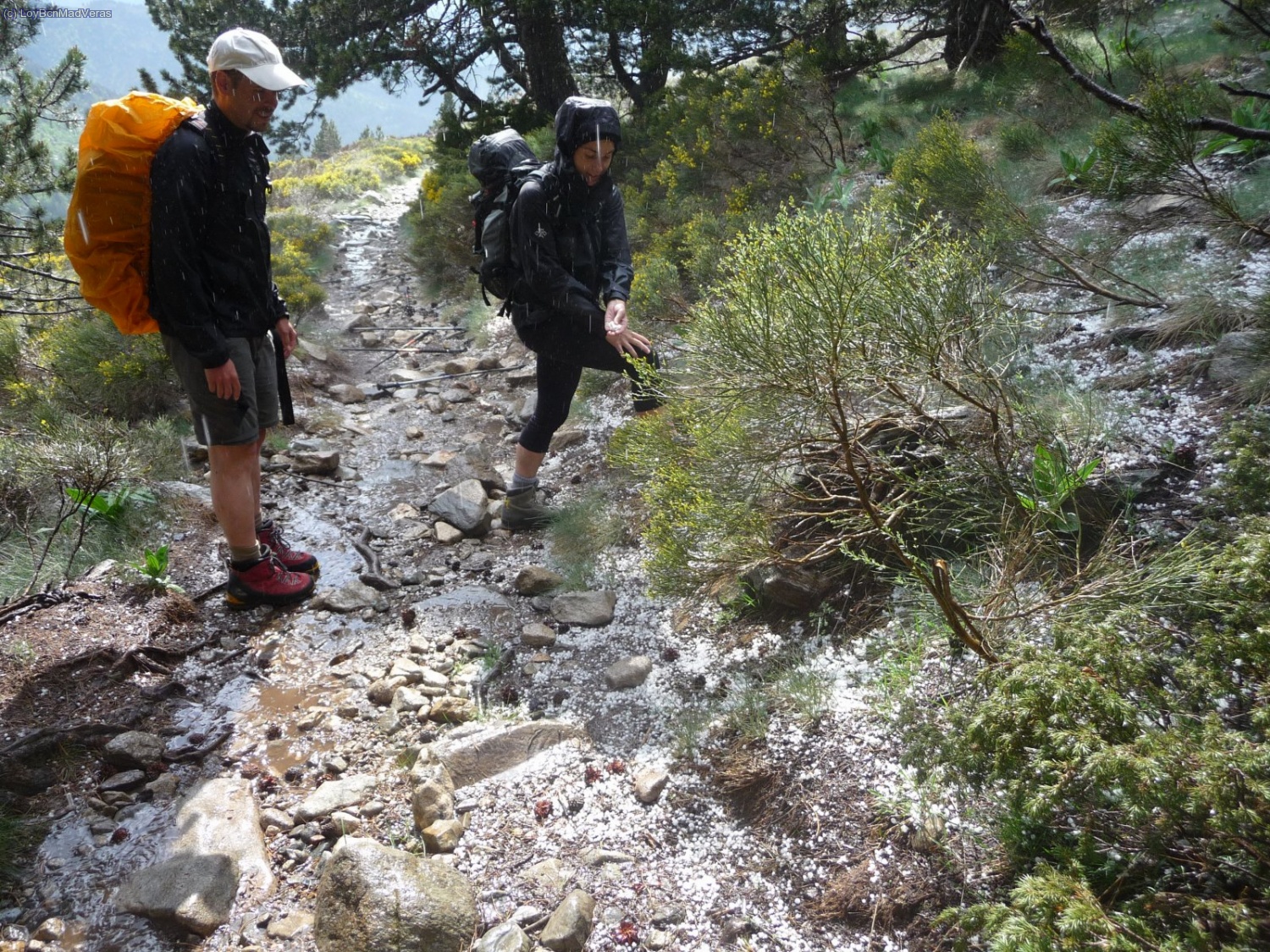 El resultado de la granizada