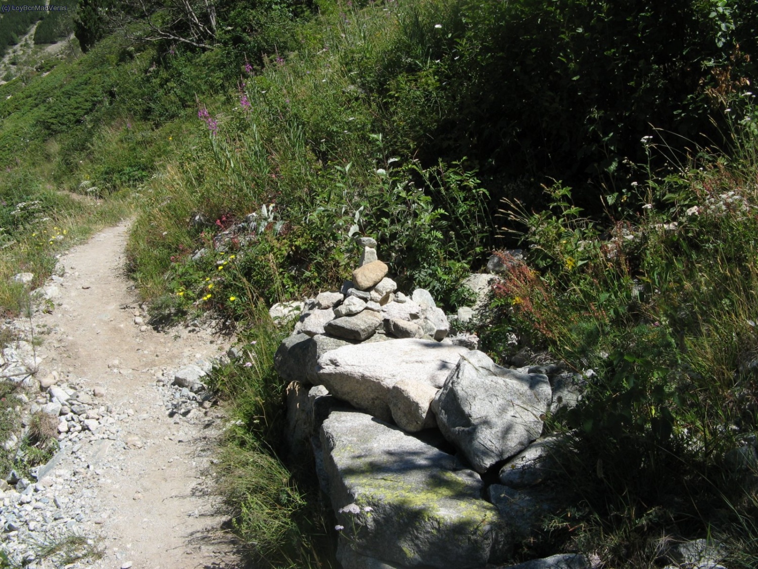 Desvio de acceso al sector