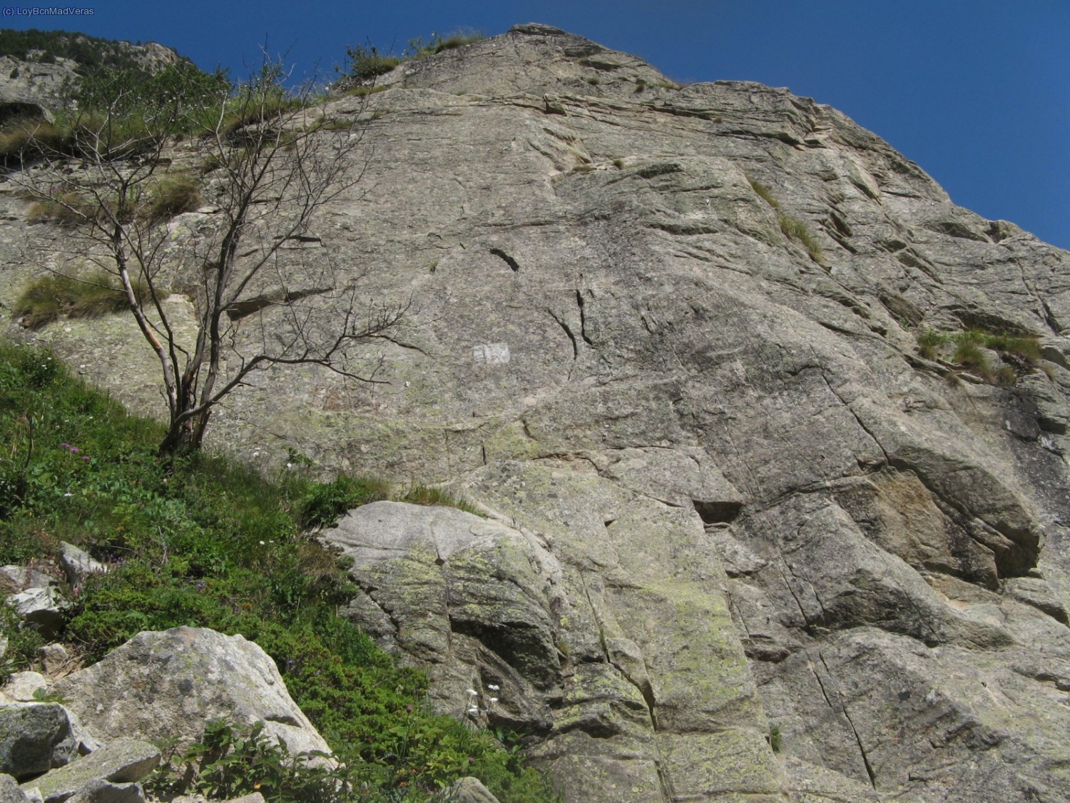 Parte izquierda del sector