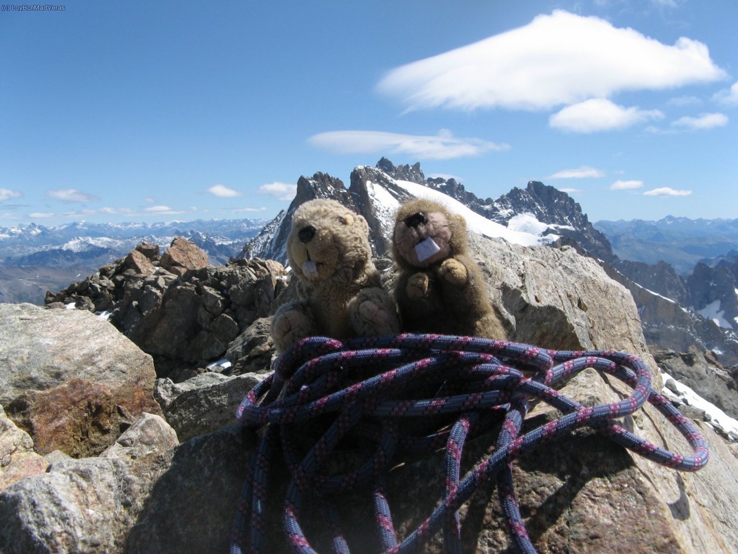 Ellos tambi&eacute;n subieron :)