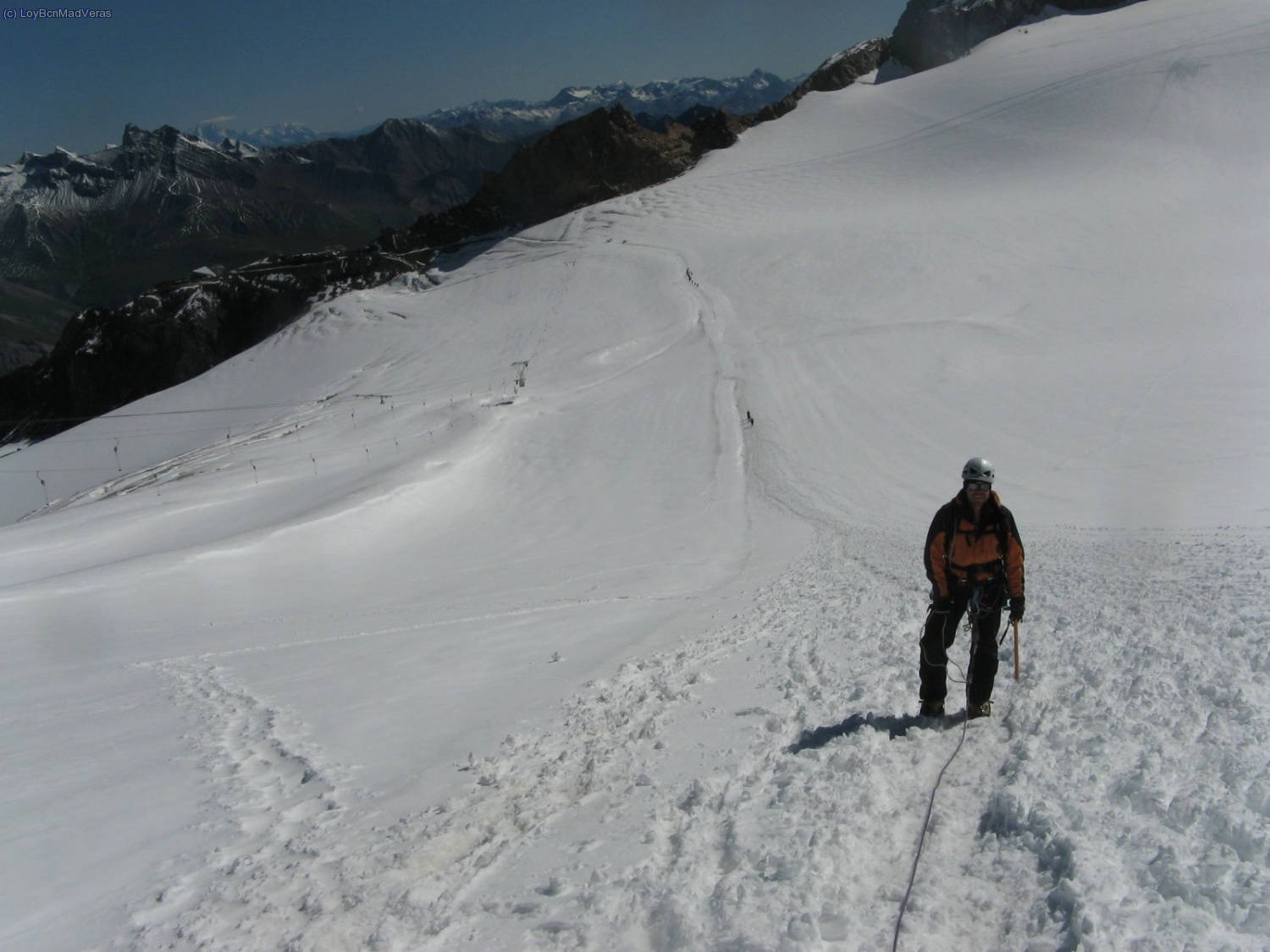 Madveras en el glaciar