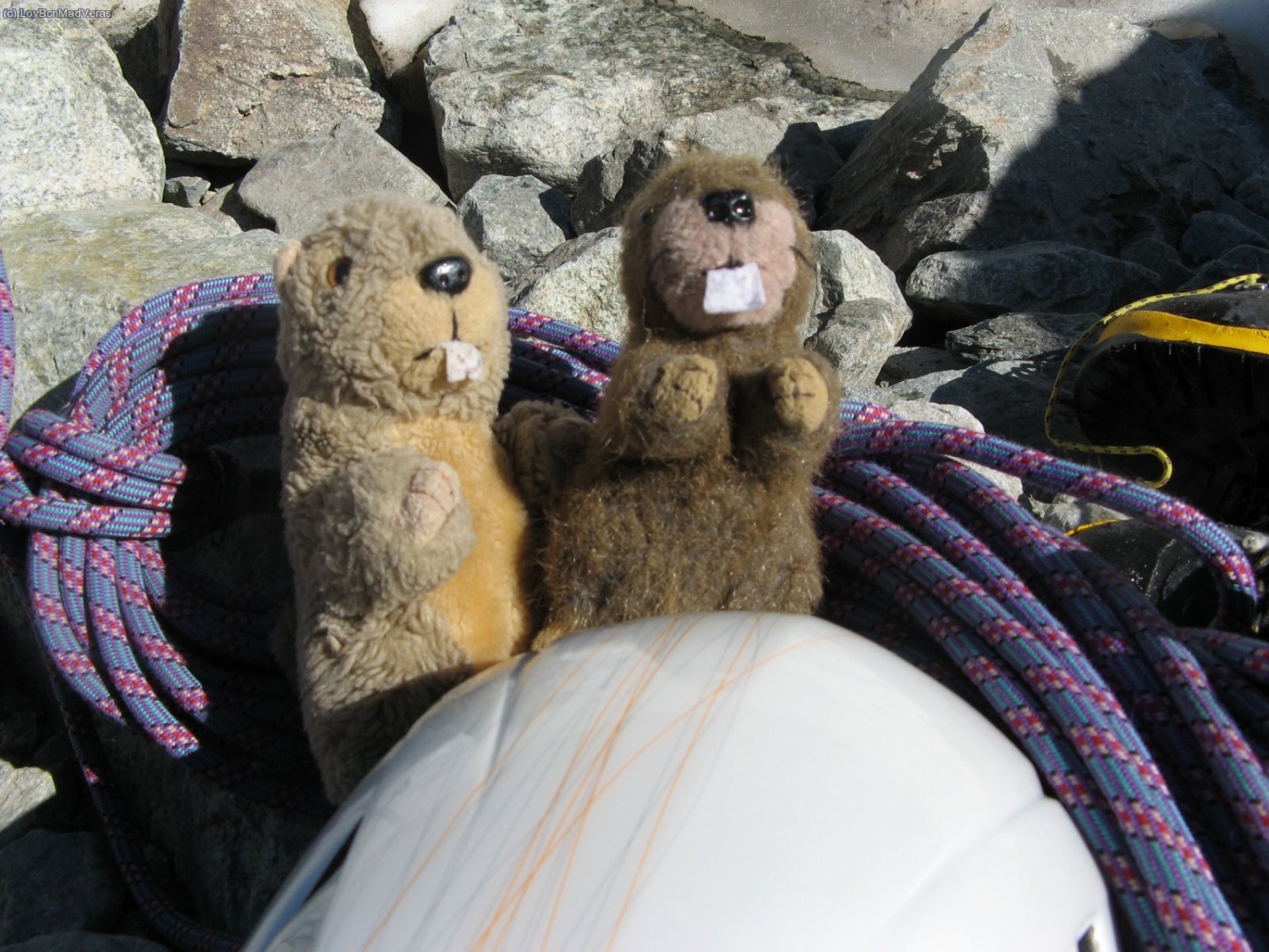 Por supuesto que tambi&eacute;n sub&iacute;an con nosotros :)))