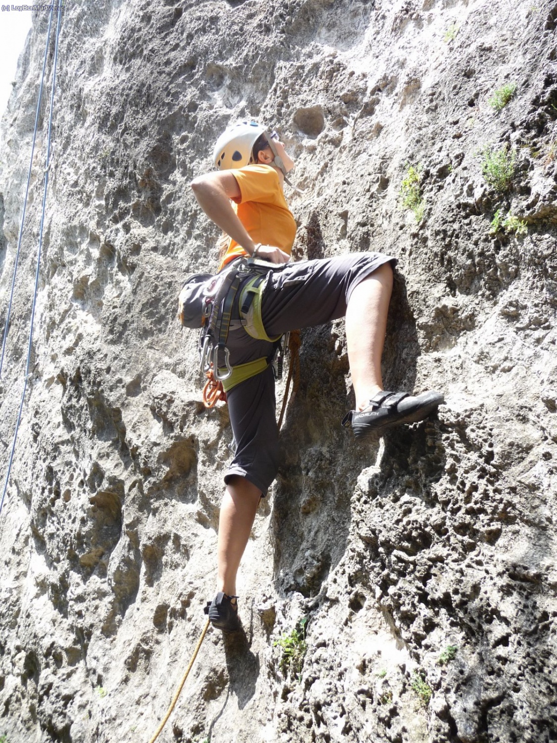 Loybcn en "Trossos Gossos" V+