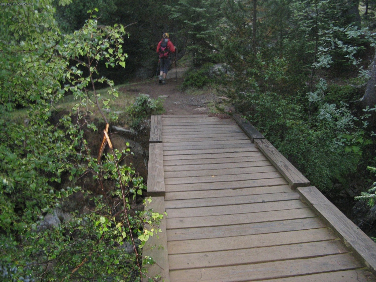 Camino al refugio de Vallferrera