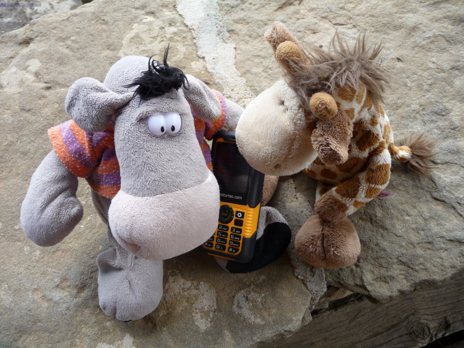 uy... y esto que &eacute;?