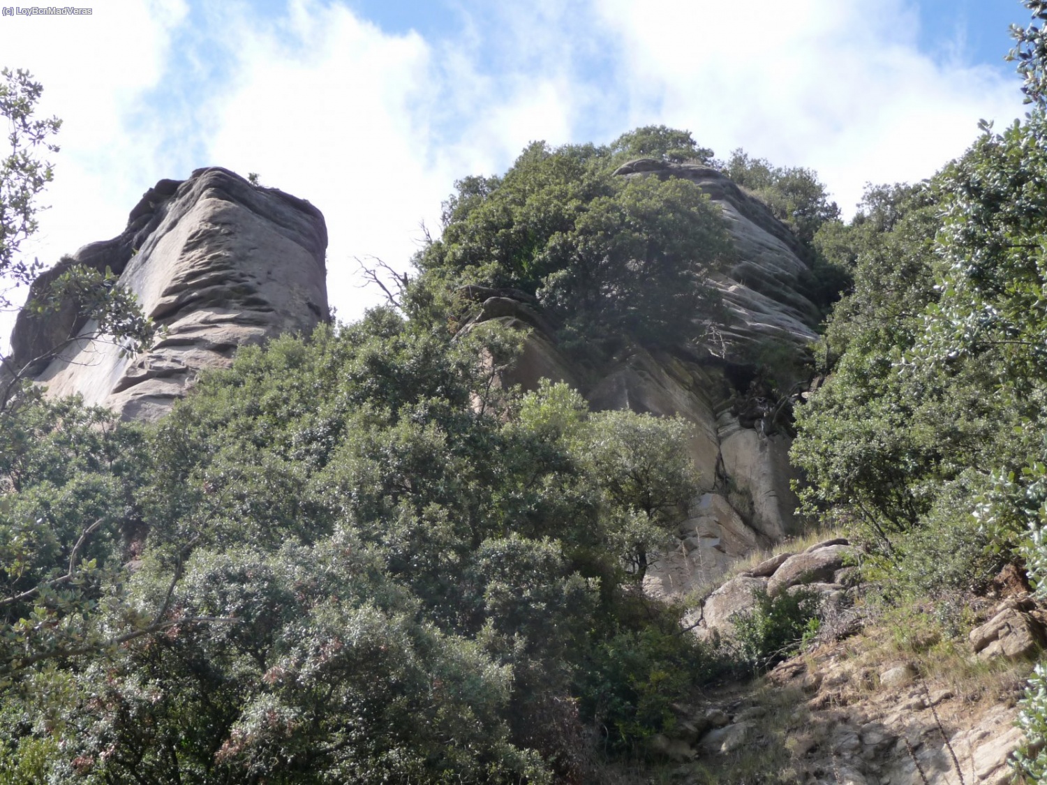 ... que ha caido de ah&iacute; arriba