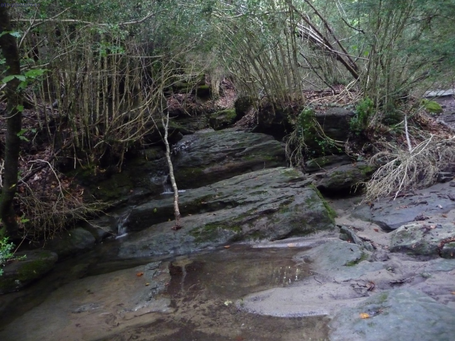 Que resulto ser por todo el medio del barranco.. menuda bajada m&aacute;s disfrutona!