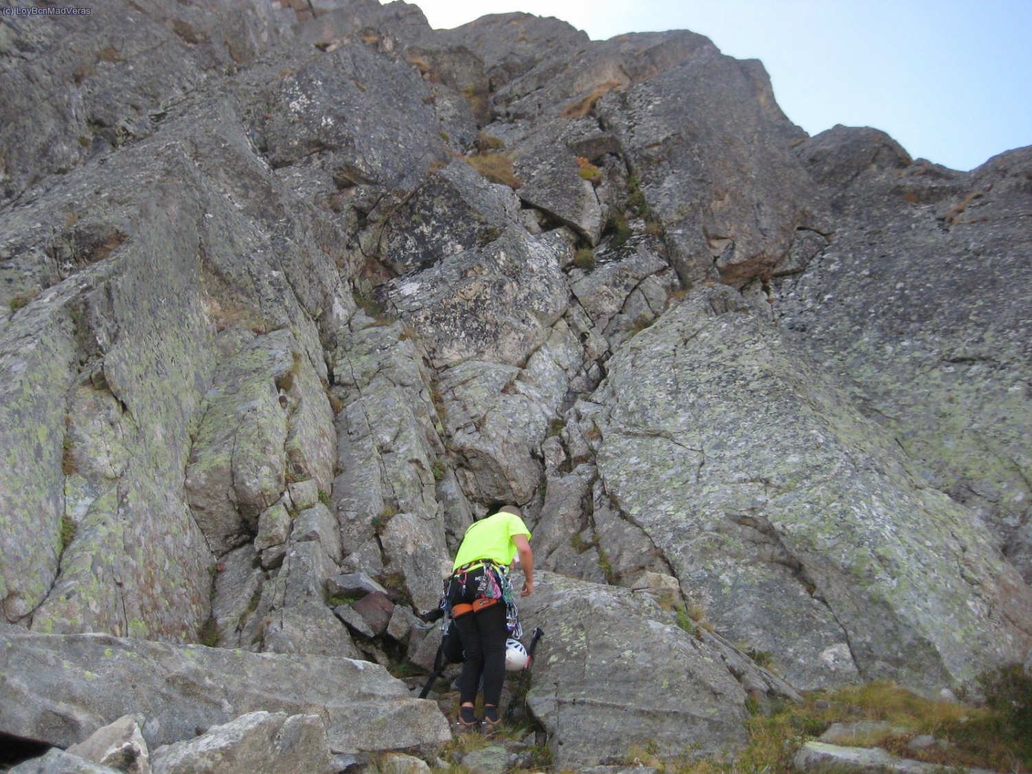 Madveras en el pie de v&iacute;a