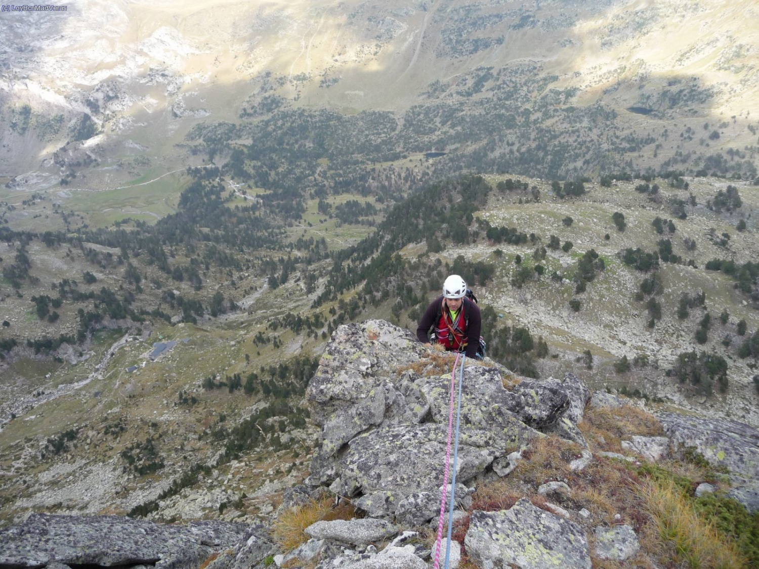 Madveras al final del L5