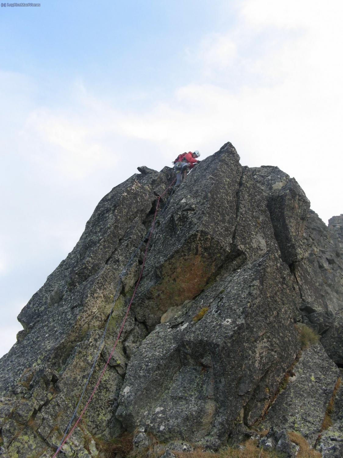 Cima!!! ... de esta punta.. que no es la cima del Pico.