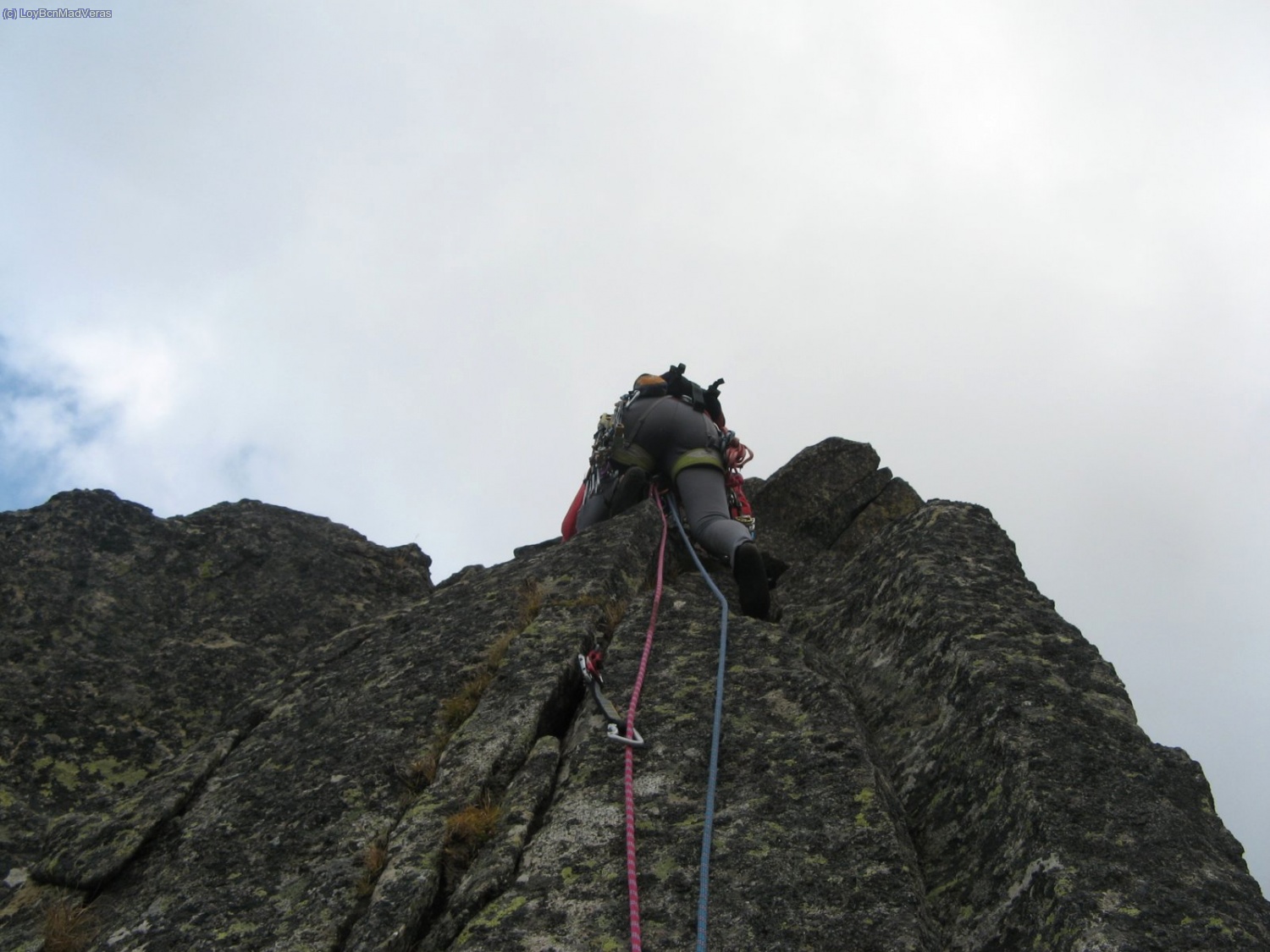 Pasito tonto justo empezarlo