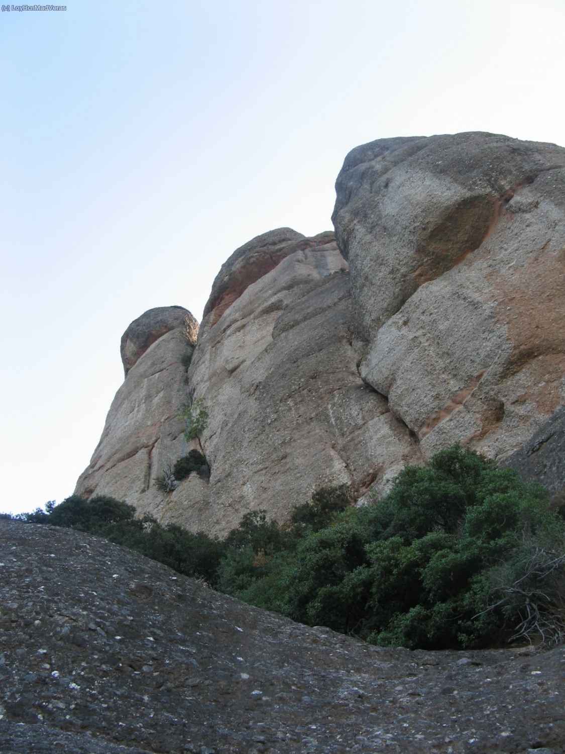 Vista de la via y la aguja