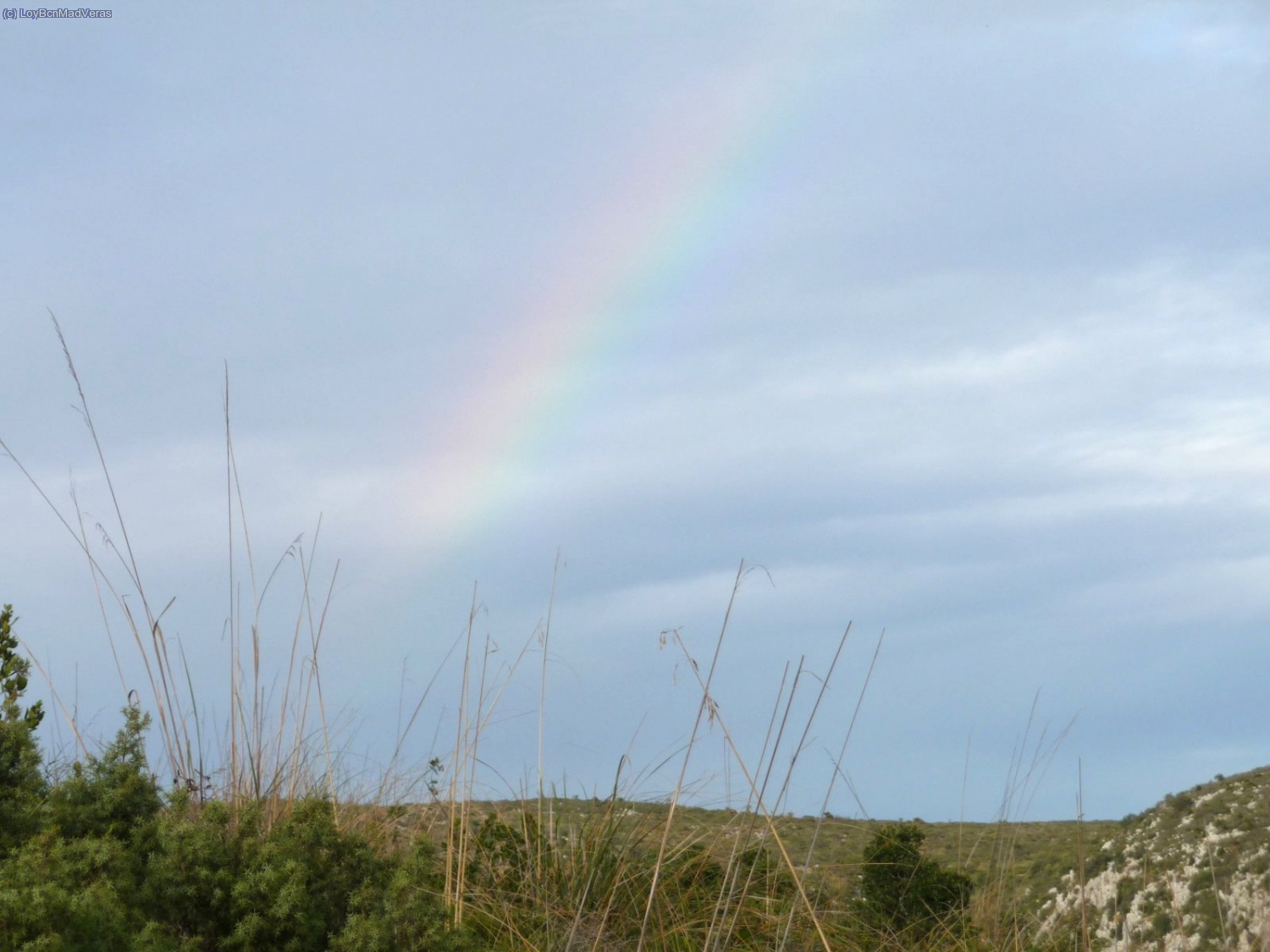 Y que mejor regalo nos puede ofrecer la naturalez... despu&eacute;s de realizar una actividad como esta