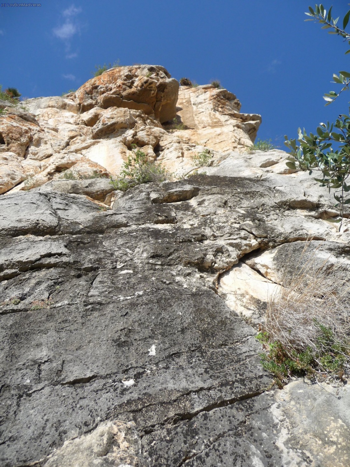 Primer, segundo y parte del tercero